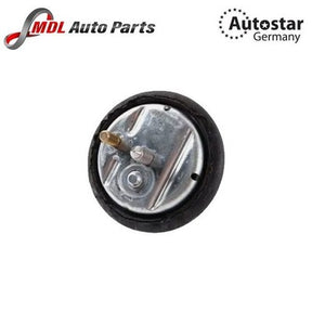 AutoStar Germany Left Engine Mount 11811094149 for BMW E34 E32 E31 V8 Models
