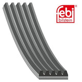 Febi 46529 Auxiliary Belt Standard Premium Fits Ford Escort Classic 1998 - 2000