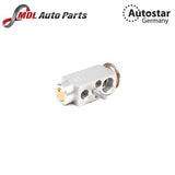 AutoStar Germany EXPANSION VALVE For Mercedes Benz W220 A2208300384