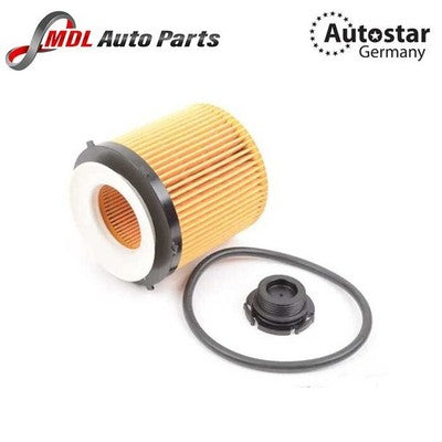Autostar Oil Filter Element BMW F10 5-Series E84 X1 F30 3-Series N20 11427634291