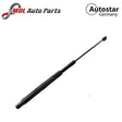 AutoStar Bonnet Strut 1648800129 Mercedes-Benz ML-Class W164 GL-Class X164 R W25