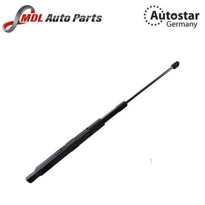 AutoStar Bonnet Strut 1648800129 Mercedes-Benz ML-Class W164 GL-Class X164 R W25