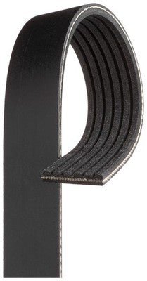 AutoStar Germany DRIVE BELT 0149971892 047903137AC 6PK1595