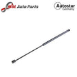 Autostar Germany Hood Lift Strut Left 1649800364 for Mercedes-Benz X164