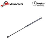 Autostar Germany Hood Lift Strut Left 1649800364 for Mercedes-Benz X164
