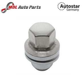 20X Autostar Germany WHEEL NUT W/O WASHER For SPORT LR068126 SILVER