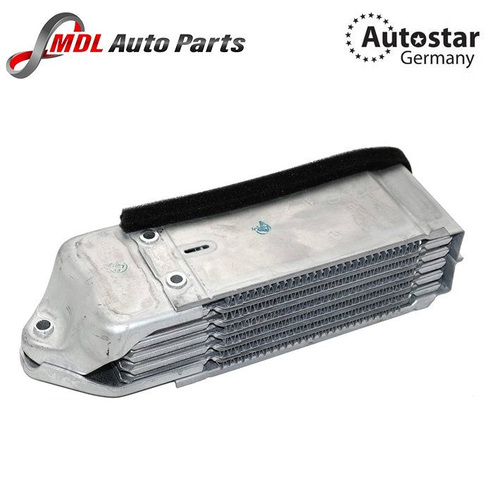 AUTOSTAR GERMANY oil cooler 113117021