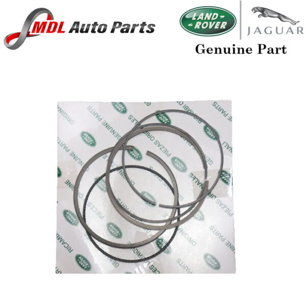 Piston Ring Set