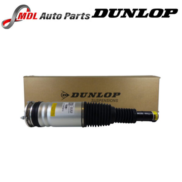 Dunlop Front Suspension Struts LR087081