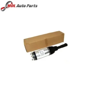 BWI Front Shock Absorber LR087083