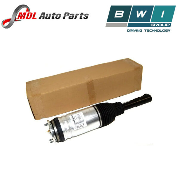 BWI Front Shock Absorber LR087083