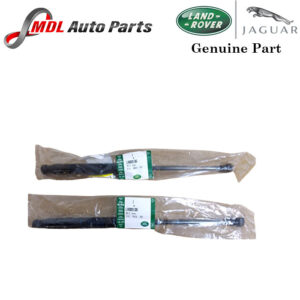 Bonnet Gas Strut