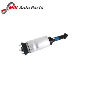 BWI Front Shock Absorber LR016415