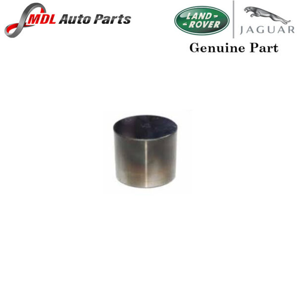 Land Rover Genuine Valve LR037315