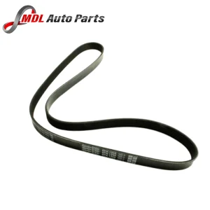 Dayco V-Ribbed Belt LR060071