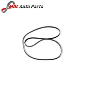 AllMakes 4x4 Serpentine V-Belt LR064185