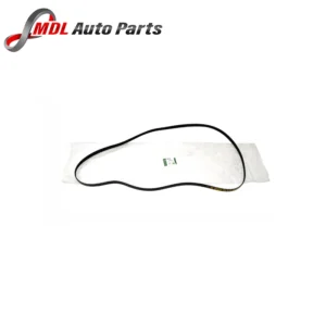 Dayco Serpentine V-Belt LR064185