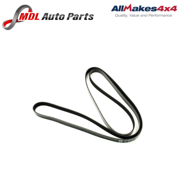 AllMakes 4x4 Serpentine V-Belt LR064185