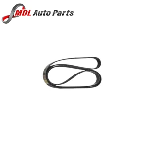 Land Rover Genuine Sport Drive belt LR079263