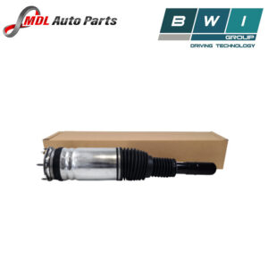 BWI Front Shock Absorber