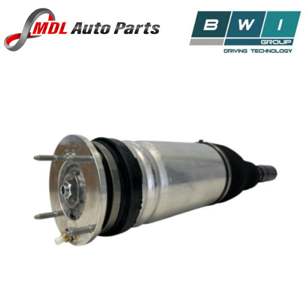 BWI Front Shock Absorber LR087093