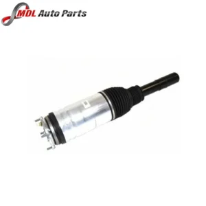 BWI Front Shock Absorber LR087094