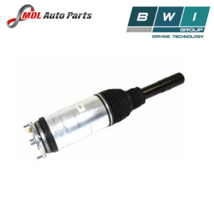 BWI Front Shock Absorber