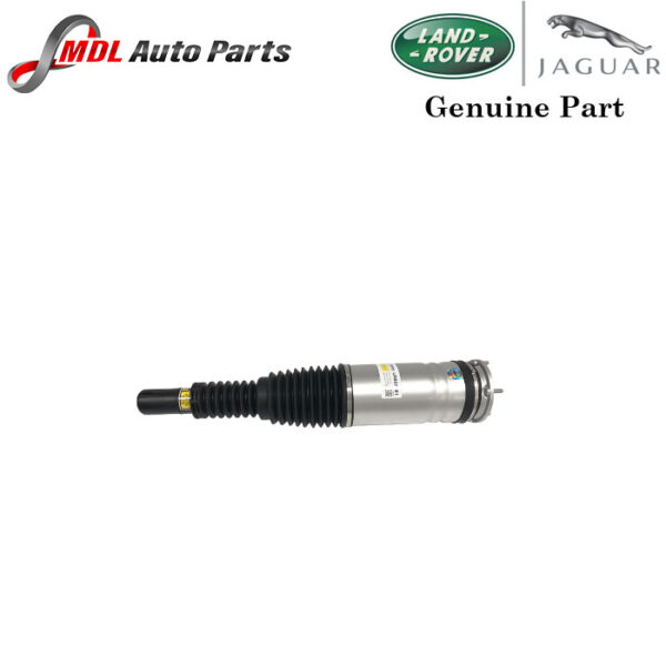 BWI Genuine Front Shock Absorber LR103607