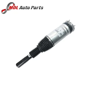 BWI Front Drivers Strut LR103609