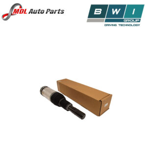 BWI Front Drivers Strut LR103609