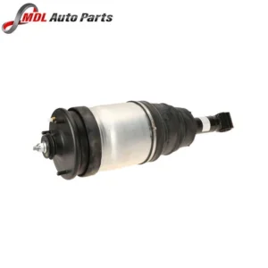BWI Rear Springs And Shock Absorbers RPD501090