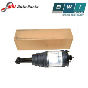 BWI Rear Springs And Shock Absorbers