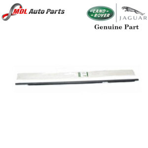 Land Rover Genuine Door Belt Molding CGE500720