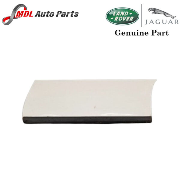 Land Rover Genuine Door Moulding DDE000054LML