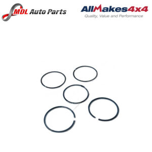 Piston Ring Kit