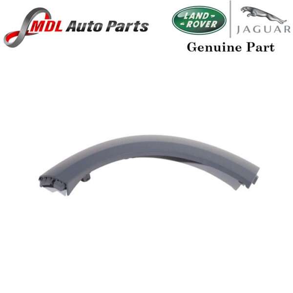 Land Rover Genuine Moulding LR010629