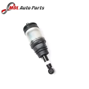 Bwi Rear Air Suspension LR016419