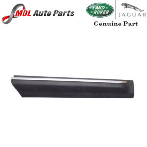 Land Rover Genuine Door Moulding LR019333