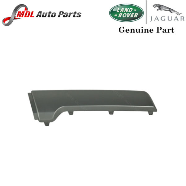 Land Rover Genuine Bumper Pad LR019556