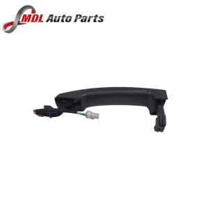 Land Rover Genuine Front Door Handle  LR020810