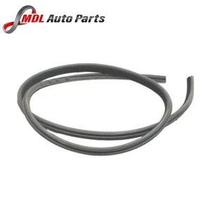Land Rover Genuine Front Inner Door Weatherstrip LR034097