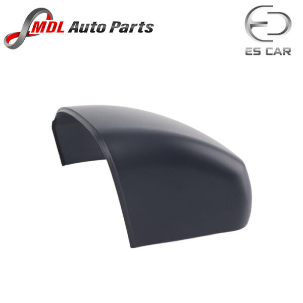 ES Mirror Cover Cap LR035092