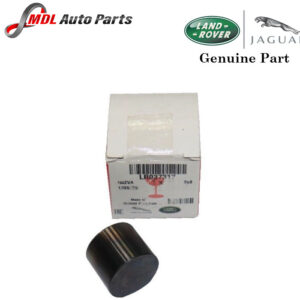 Land Rover Genuine Valve LR037317