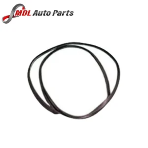 Land Rover Genuine Rubber Insert LR038604