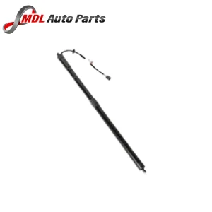 Land Rover Genuine Tailgate Support Cylinder LR062078