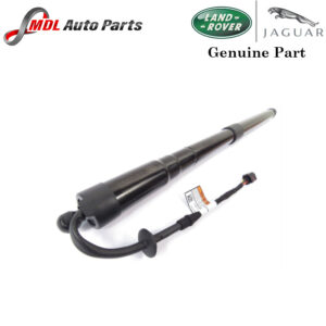 Land Rover Genuine Tailgate Support Cylinder LR062078