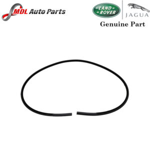 Land Rover Genuine Door Seal Rubber LR067427