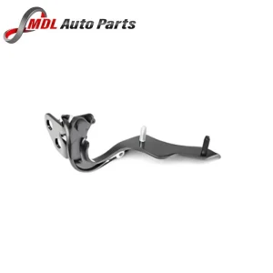 Land Rover Genuine Rear Left Liftgate LR088984