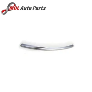 Land Rover Genuine Front Bumper Left Insert LR098544