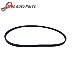 Gates Water Pump Belt LR100931